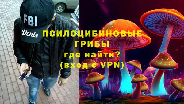 метадон Алексин