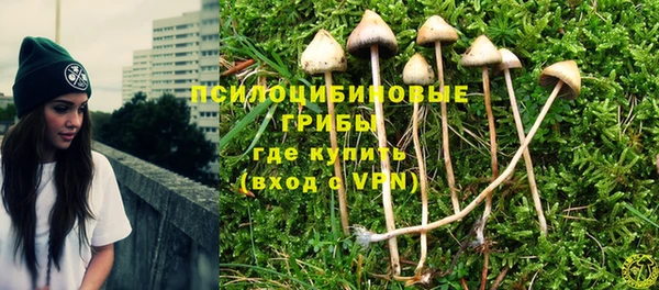 прущая мука Алзамай